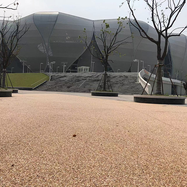 奧體中心（蓮花碗）